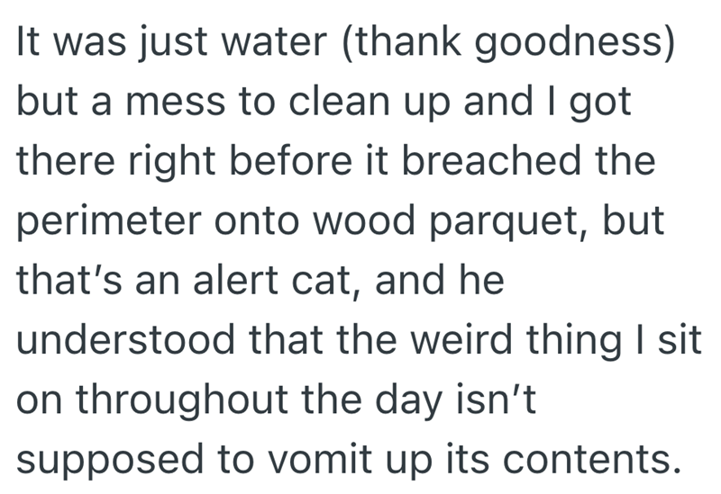 It was just water (thank goodness) but a mess to clean up and I got there right before it breached the perimeter onto wood parquet, but that's an alert cat, and he understood that the weird thing I sit on throughout the day isn't supposed to vomit up its contents.