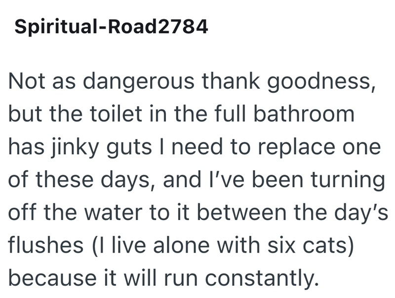 Spiritual-Road2784 Not as dangerous thank goodness, but the toilet in the full bathroom has jinky guts I need to replace one of these days, and I've been turning off the water to it between the day's flushes (I live alone with six cats) because it will run constantly.