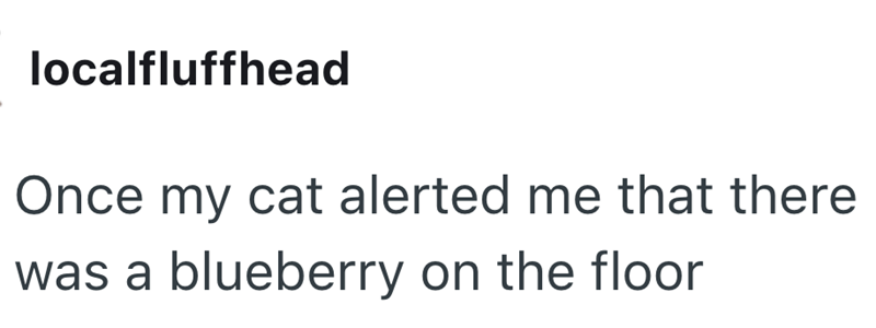 localfluffhead Once my cat alerted me that there was a blueberry on the floor