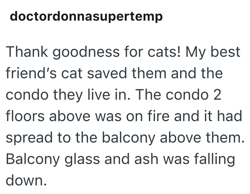 doctordonnasupertemp Thank goodness for cats! My best friend's cat saved them and the condo they live in. The condo 2 floors above was on fire and it had spread to the balcony above them. Balcony glass and ash was falling down.