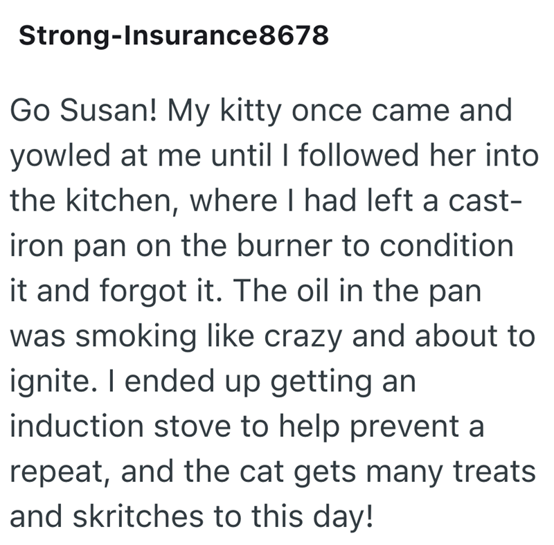 Strong-Insurance8678 Go Susan! My kitty once came and yowled at me until I followed her into the kitchen, where I had left a cast- iron pan on the burner to condition it and forgot it. The oil in the pan was smoking like crazy and about to ignite. I ended up getting an induction stove to help prevent a repeat, and the cat gets many treats and skritches to this day!