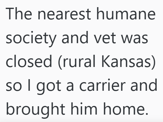 The nearest humane society and vet was closed (rural Kansas) so I got a carrier and brought him home.