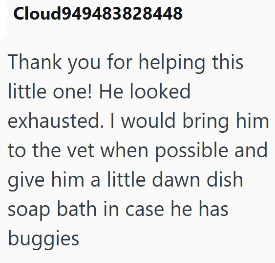 Cloud949483828448 Thank you for helping this little one! He looked exhausted. I would bring him to the vet when possible and give him a little dawn dish soap bath in case he has buggies