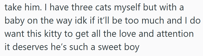take him. I have three cats myself but with a baby on the way idk if it'll be too much and I do want this kitty to get all the love and attention it deserves he's such a sweet boy