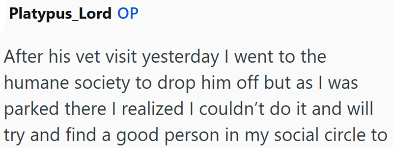 Platypus_Lord OP After his vet visit yesterday I went to the humane society to drop him off but as I was parked there I realized I couldn't do it and will try and find a good person in my social circle to