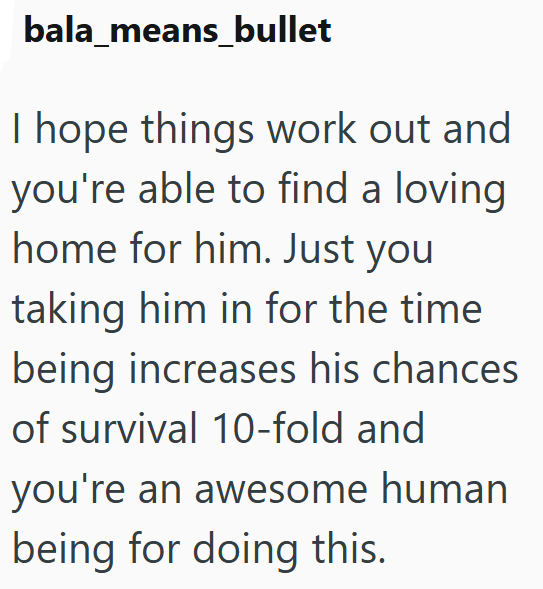 bala_means_bullet I hope things work out and you're able to find a loving home for him. Just you taking him in for the time being increases his chances of survival 10-fold and you're an awesome human being for doing this.
