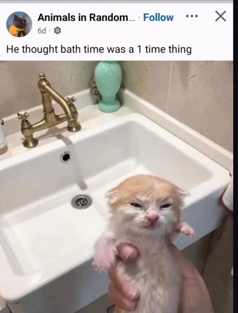 Animals in Random... Follow 6d He thought bath time was a 1 time thing