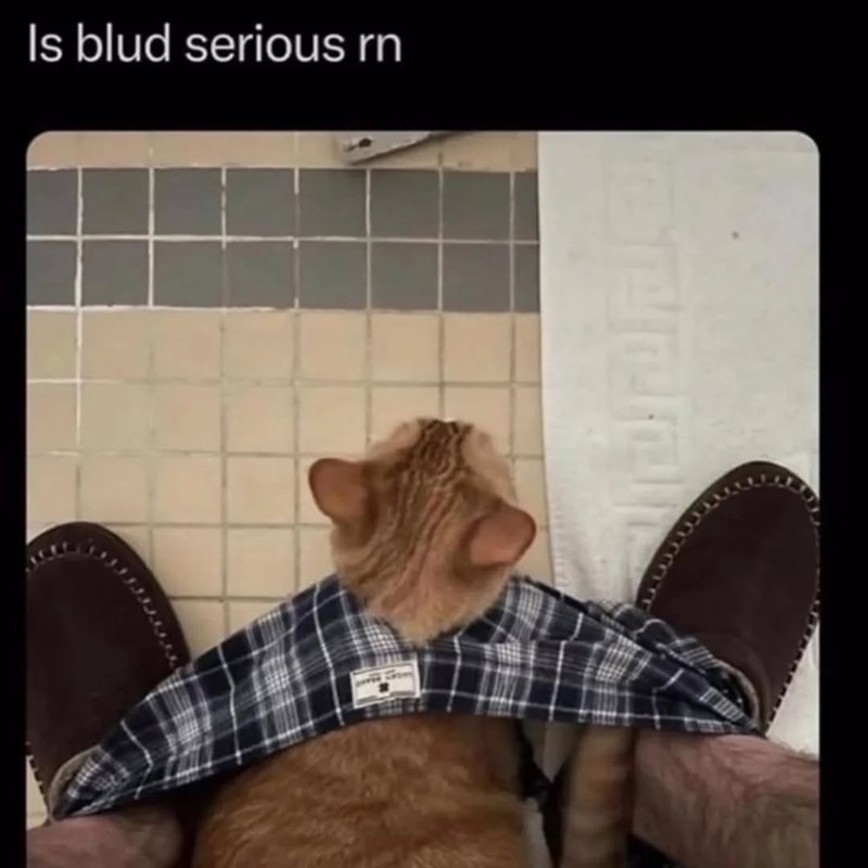 Is blud serious rn
