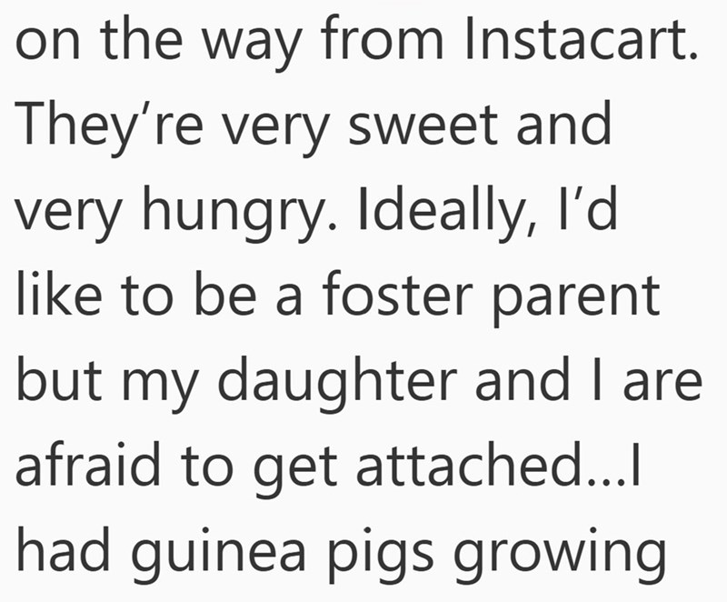 on the way from Instacart. They're very sweet and very hungry. Ideally, I'd like to be a foster parent but my daughter and I are afraid to get attached...l had guinea pigs growing