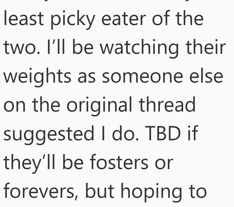 least picky eater of the two. I'll be watching their weights as someone else on the original thread suggested I do. TBD if they'll be fosters or forevers, but hoping to