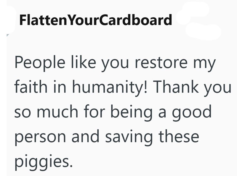 Flatten YourCardboard People like you restore my faith in humanity! Thank you! so much for being a good person and saving these piggies.