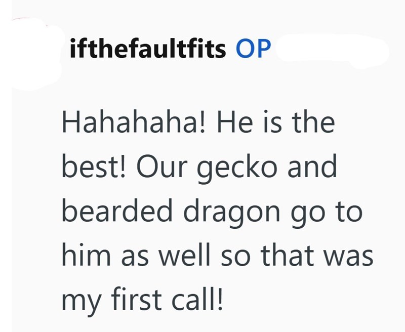 ifthefaultfits OP Hahahaha! He is the best! Our gecko and bearded dragon go to him as well so that was my first call!
