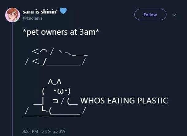 saru is shinin' @kilolanis *pet owners at 3am* Follow <J Λ_Λ ( •w•) >/WHOS EATING PLASTIC 4:53 PM - 24 Sep 2019