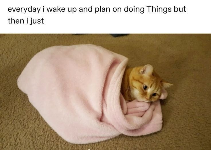 everyday i wake up and plan on doing Things but then i just