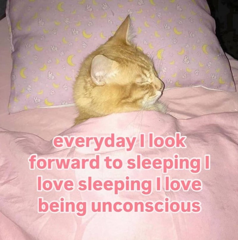everyday I look forward to sleeping | love sleeping I love being unconscious