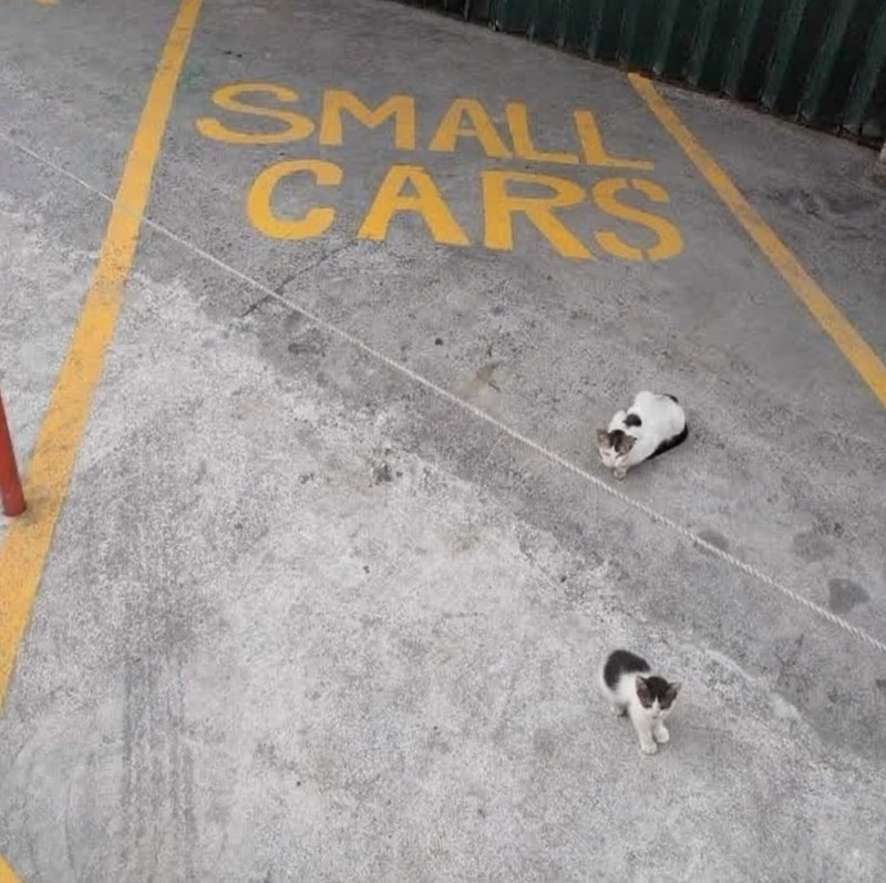 SMALL CARS