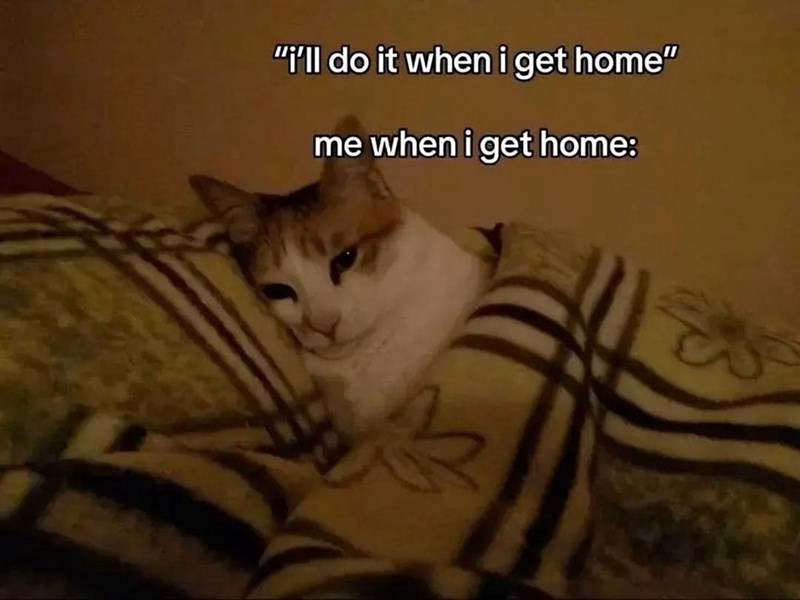 "i'll do it when i get home" me when i get home: