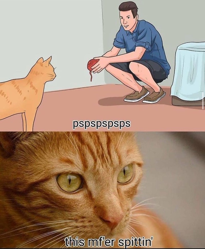 alan y pspspspsps this mf'er spittin'