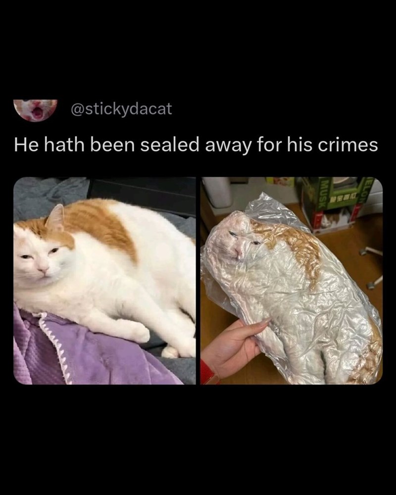 MUSK @stickydacat He hath been sealed away for his crimes