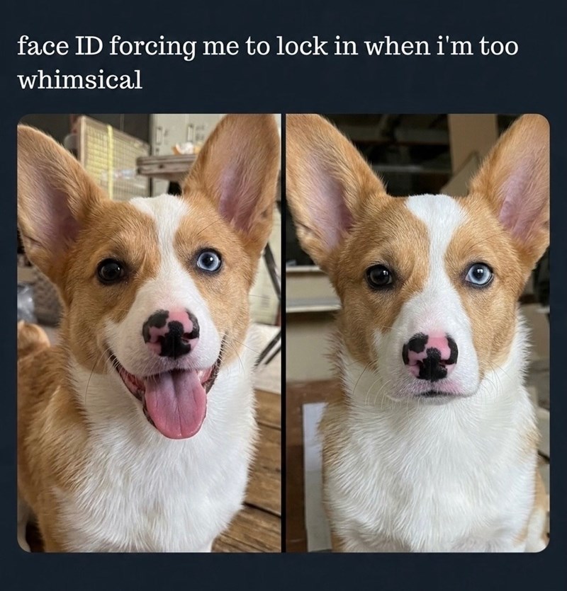 face ID forcing me to lock in when i'm too whimsical