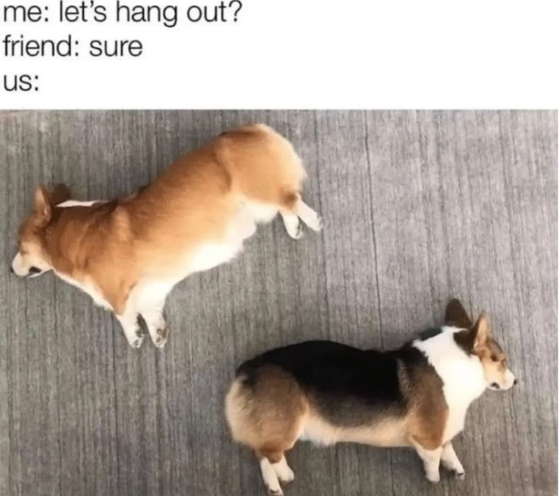 me: let's hang out? friend: sure us: