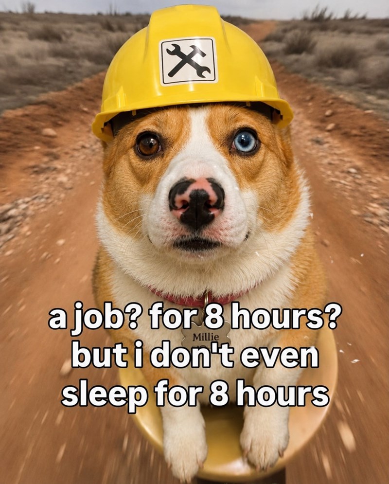X a job? for 8 hours? but i don't even Millie sleep for 8 hours