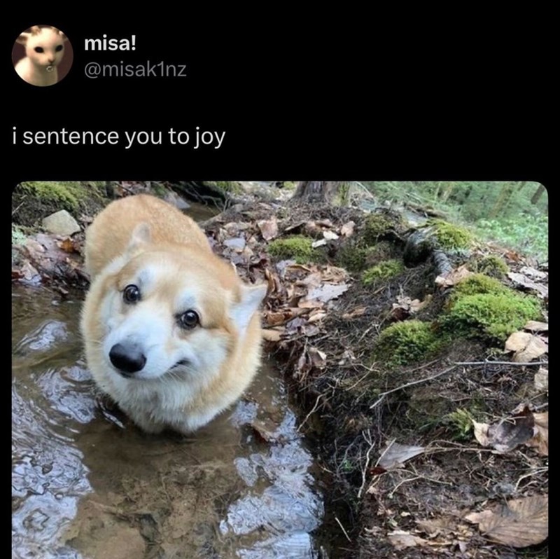 misa! @misak1nz i sentence you to joy