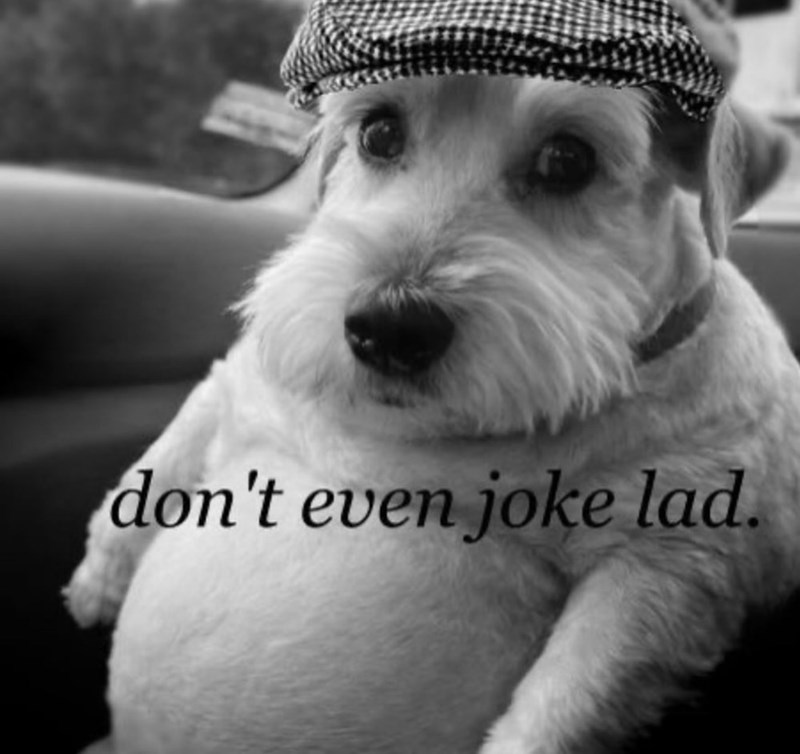 don't even joke lad.