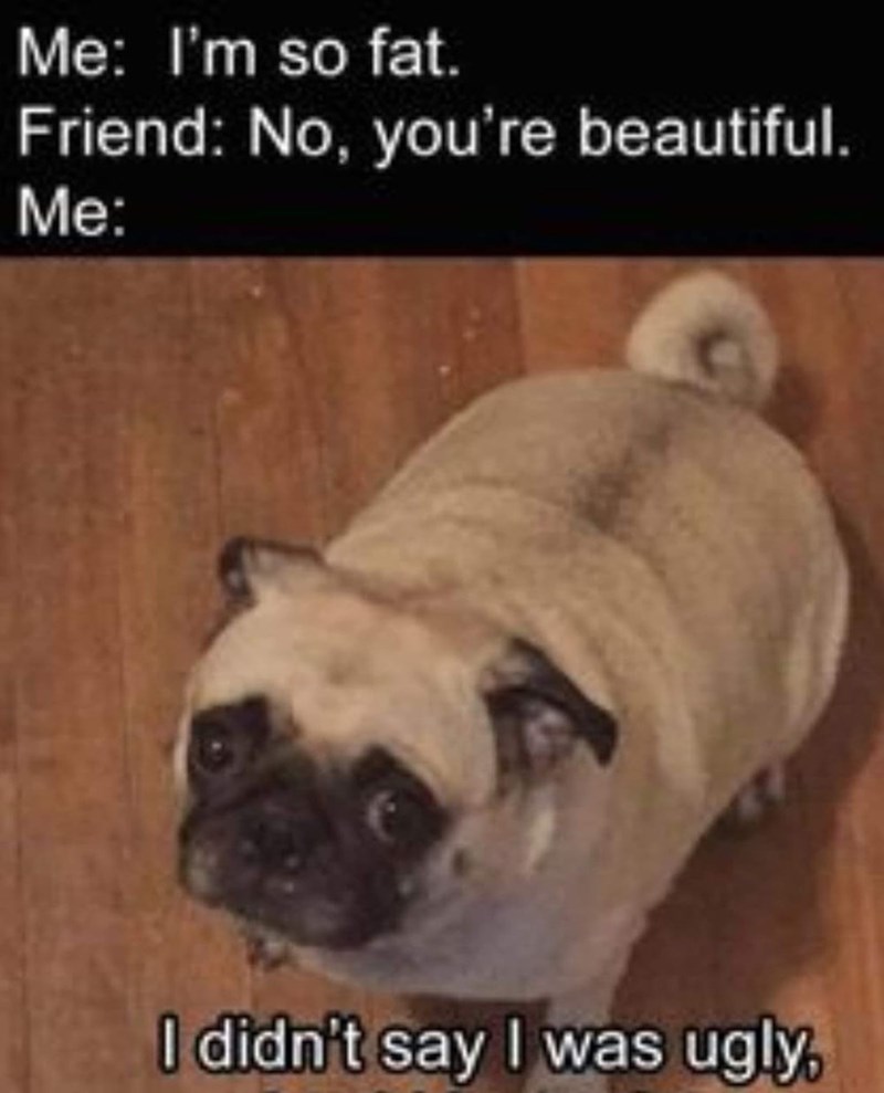 Me: I'm so fat. Friend: No, you're beautiful. Me: I didn't say I was ugly,