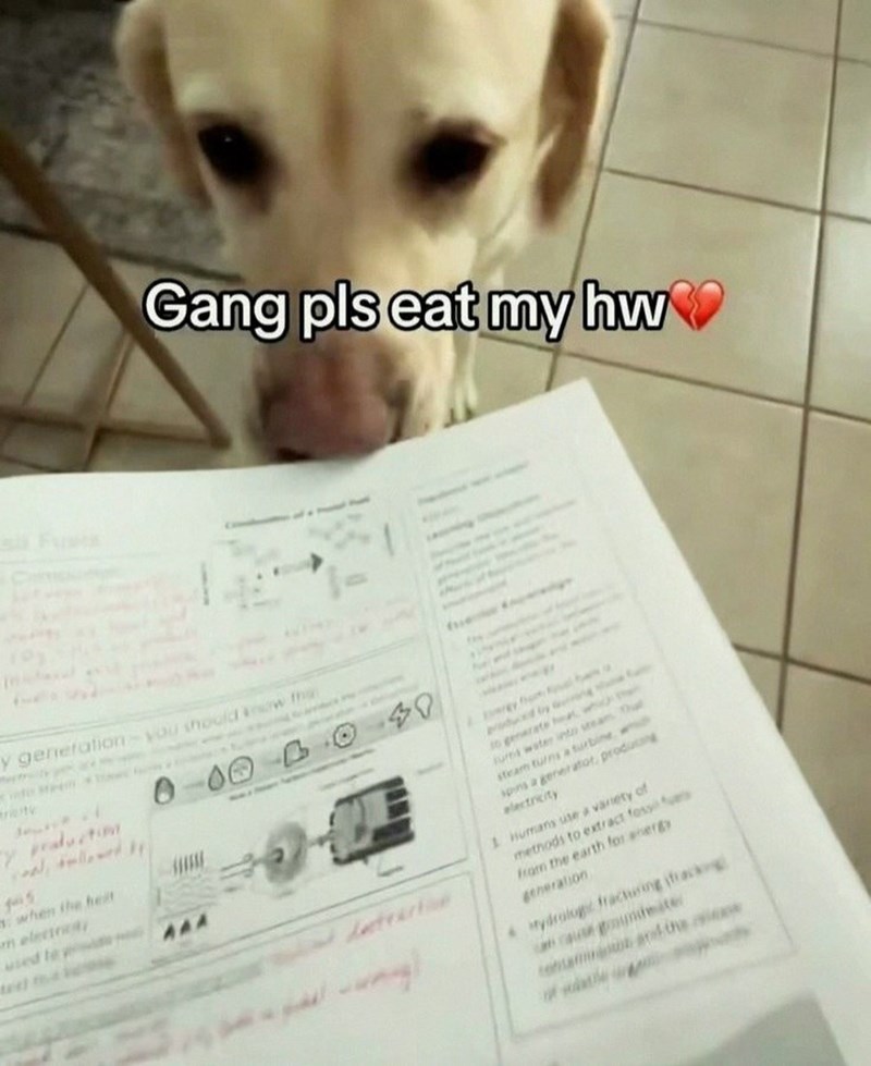 Gang pls eat my hw y generation-you should know tha reity y praluation f5 when the heat an electric used te AA 40 fue 10 generate he Furns water into steam That steam turns a turbine, wh spins a generator, producing electricity 1 humans use a variety of methods to extract fossil fue from the earth for energy generation Hydrologic fracturing fracking