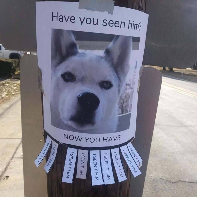 Have you seen him? NOW YOU HAVE I SEEN'T H I SEEN'T HIM I SEEN'T HIM I SEEN'T HIM I SEEN'T HIM I SEEN'T HIM I SEEN'T HIM ISEEN'T HIM ISEEN'T HIM