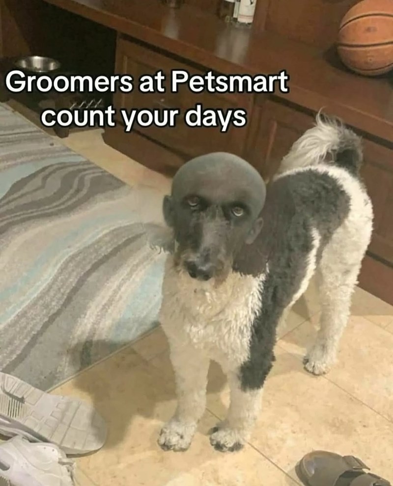 Groomers at Petsmart count your days