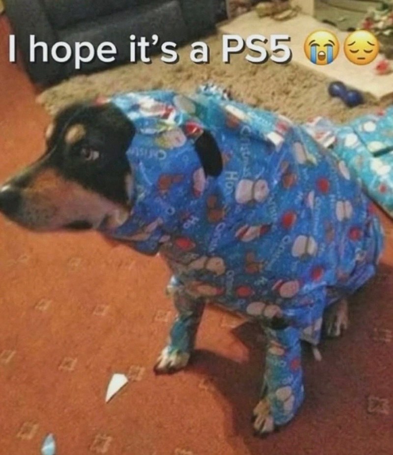 I hope it's a PS5 Christe ristmas Ho ariste 13