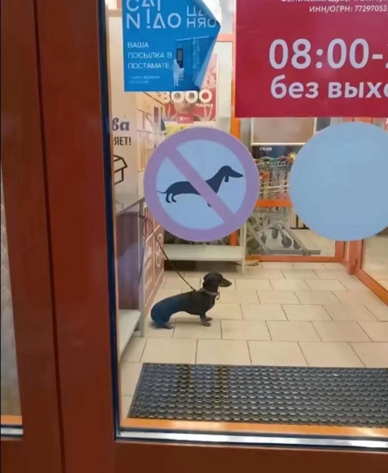 BALLIA Ц До ня ПОСЫЛКА В ПОСТАМАТЕ ИНН/ОГРН: 77297053 08:00- без вых ва ЯЕТ! BOOO TORPOR