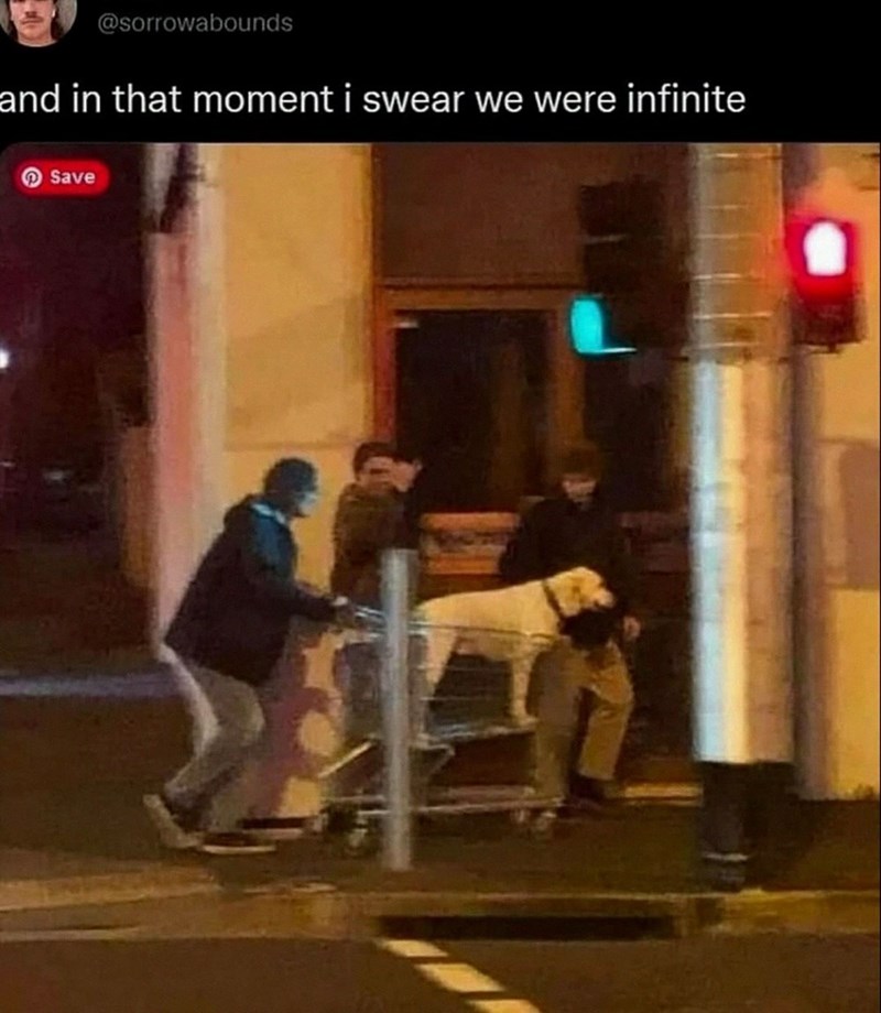 @sorrowabounds and in that moment i swear we were infinite Save