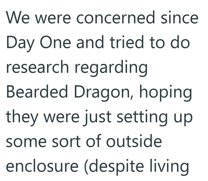We were concerned since Day One and tried to do research regarding Bearded Dragon, hoping they were just setting up some sort of outside enclosure (despite living