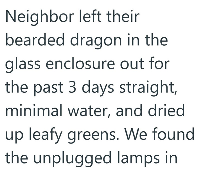 Neighbor left their bearded dragon in the glass enclosure out for the past 3 days straight, minimal water, and dried up leafy greens. We found the unplugged lamps in