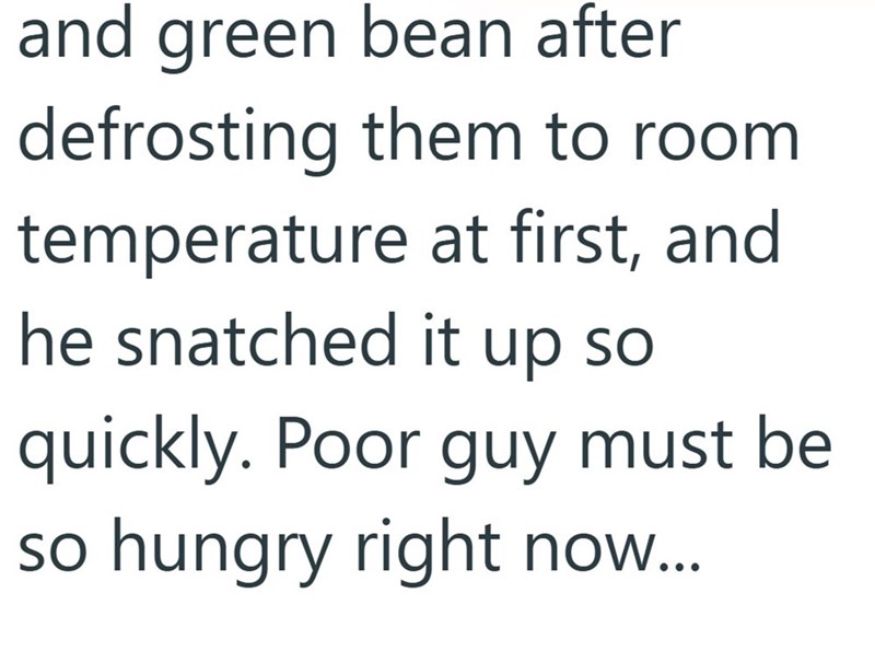 and green bean after defrosting them to room temperature at first, and he snatched it up so quickly. Poor guy must be so hungry right now...