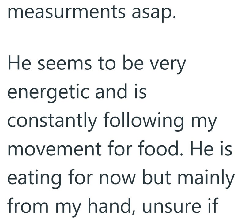 measurments asap. He seems to be very energetic and is constantly following my movement for food. He is eating for now but mainly from my hand, unsure if