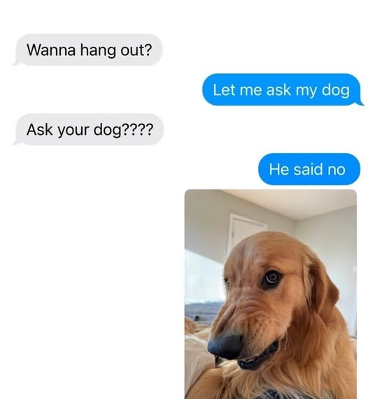 Wanna hang out? Ask your dog???? Let me ask my dog He said no
