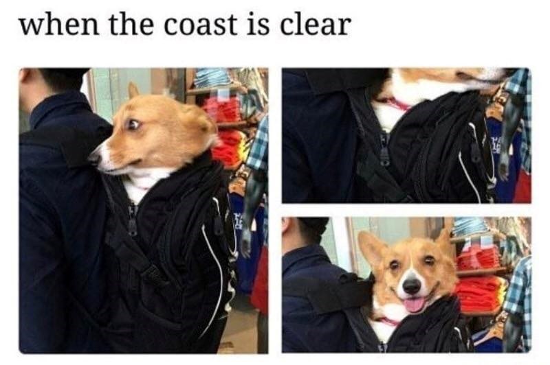 when the coast is clear