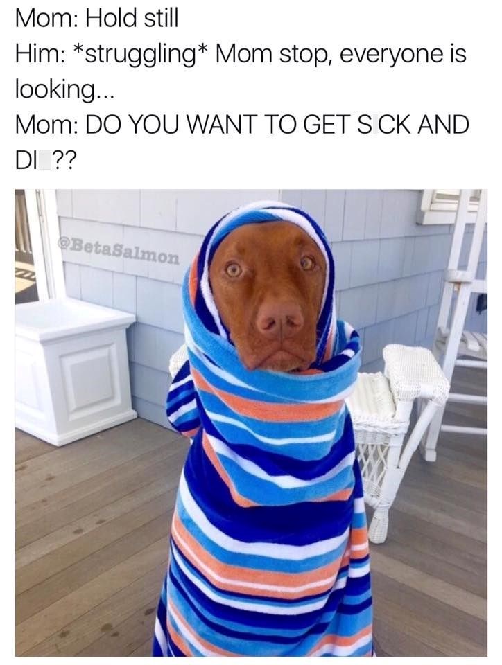 Mom: Hold still Him: *struggling* Mom stop, everyone is looking... Mom: DO YOU WANT TO GET S CK AND DI?? @BetaSalmon