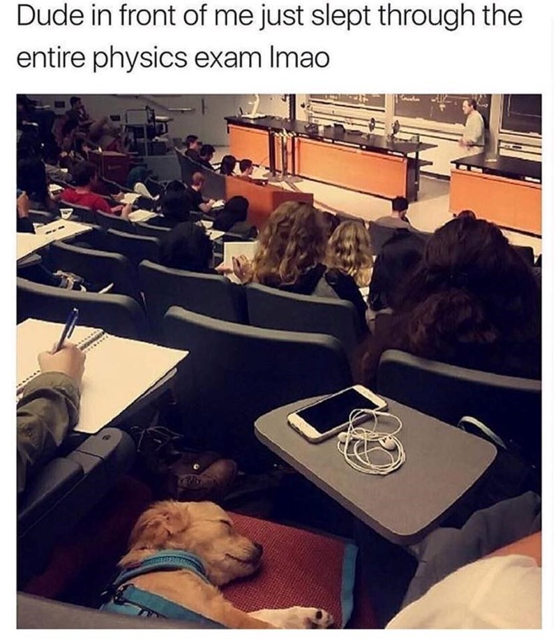 Dude in front of me just slept through the entire physics exam Imao