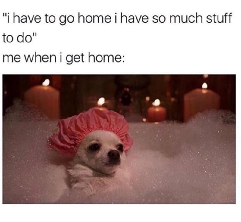 "i have to go home i have so much stuff to do" me when i get home: