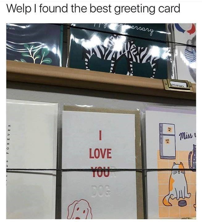 US FOREVER Welp I found the best greeting card ersary nniversary LOVE YOU DOG سلامی Miss