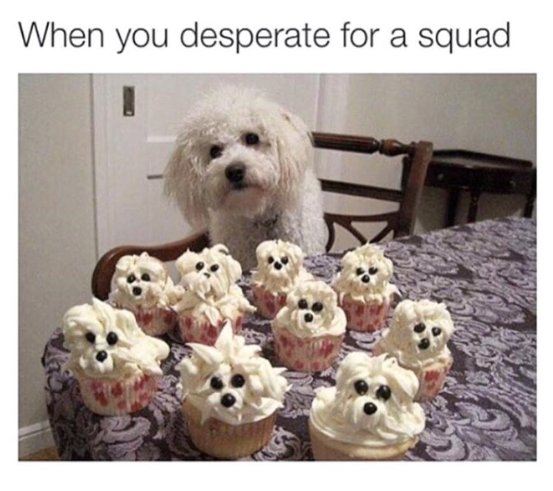 When you desperate for a squad