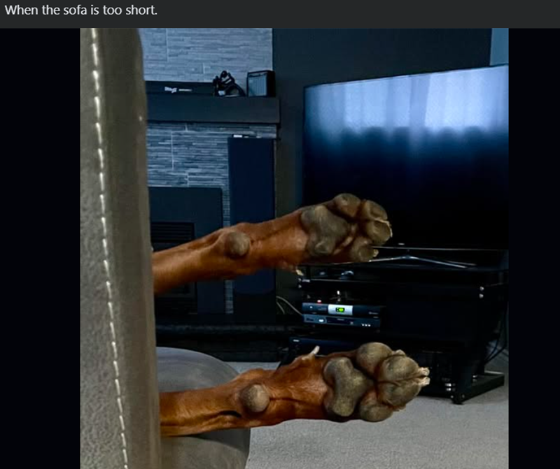 When the sofa is too short.