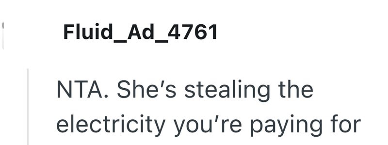 Fluid_Ad_4761 NTA. She's stealing the electricity you're paying for