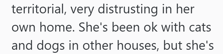 territorial, very distrusting in her own home. She's been ok with cats and dogs in other houses, but she's