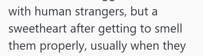 with human strangers, but a sweetheart after getting to smell them properly, usually when they